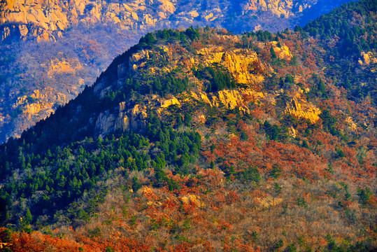 大山秋色