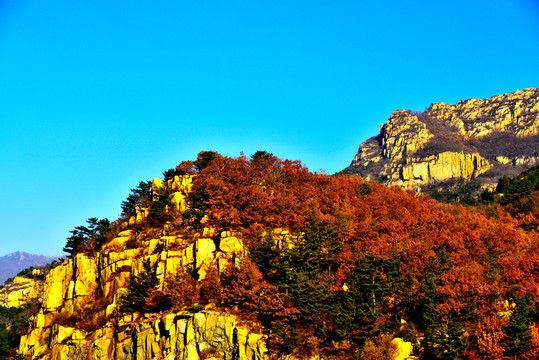 秋色大山