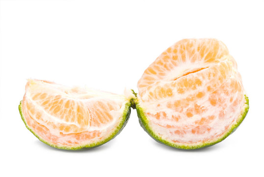 新鮮的Tangerine夜店片