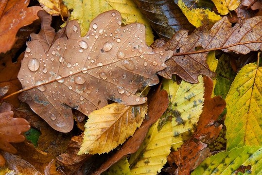 雨滴