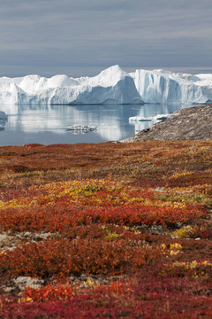 Kangia icefjord