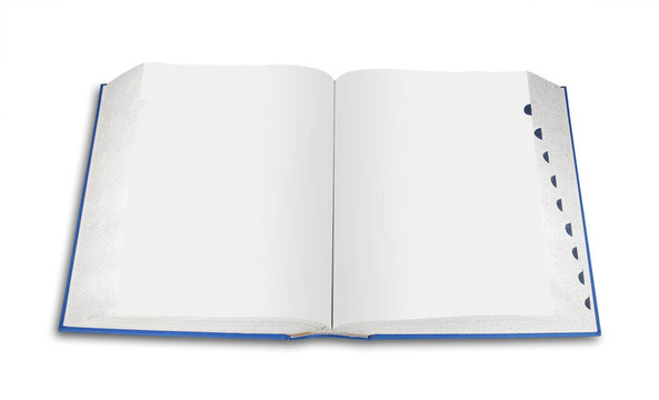 空白書；孤立的