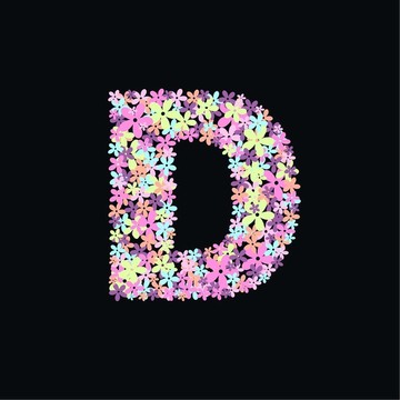 字母D