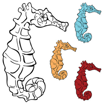 海馬圖