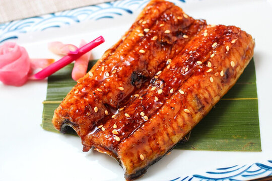 烤鰻魚
