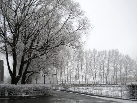 雪后的寧?kù)o