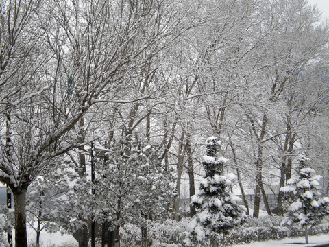 雪后的風(fēng)景
