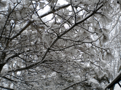 雪后風(fēng)景