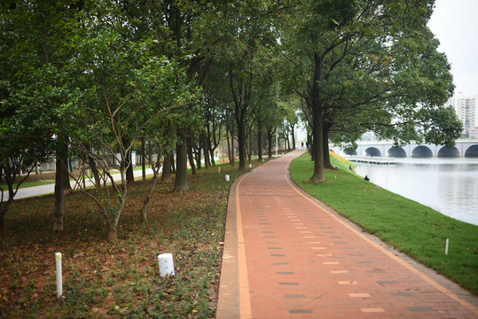 路