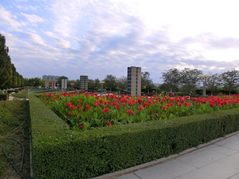 公園即景