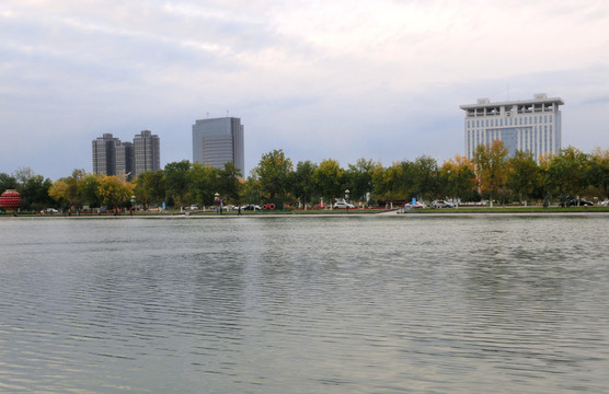 公園即景