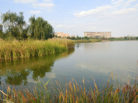 公園即景