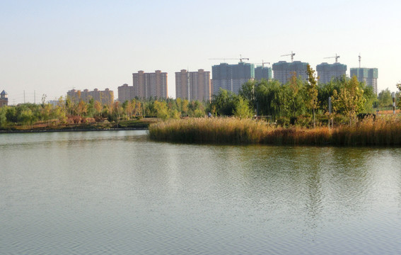 公園即景