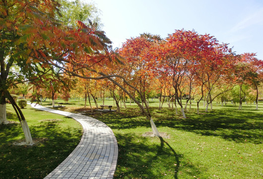 公園即景