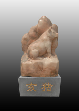 亥豬