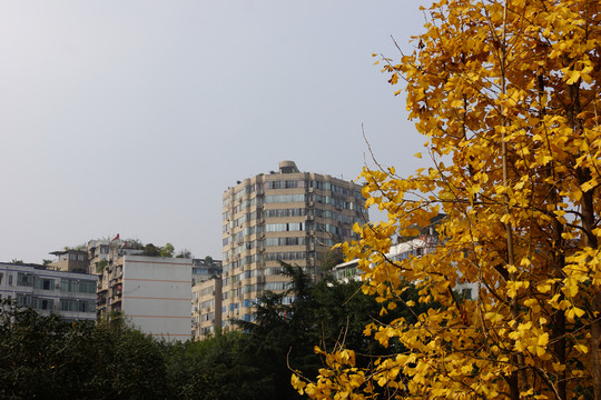 城市風(fēng)光
