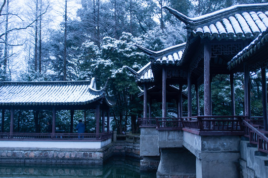 園林 冬季
