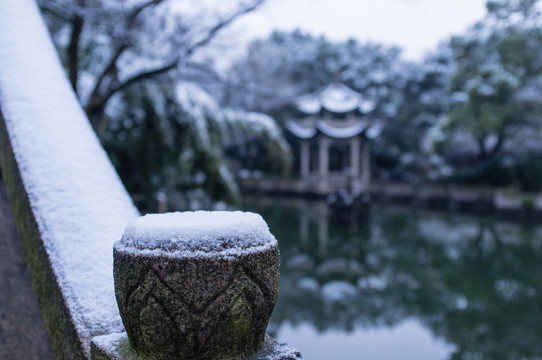 冬季園林