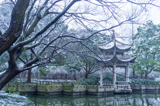 冬季園林