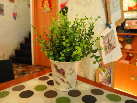 塑料花