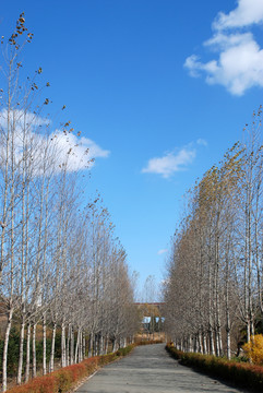 長春世界風景園園林風景