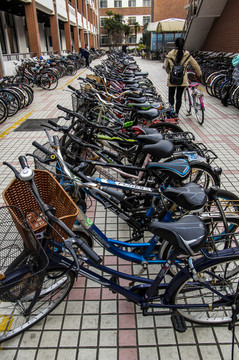 校園自行車