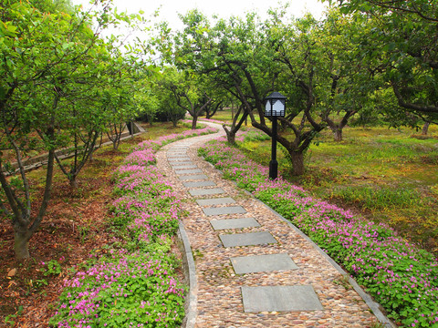 石板路 林蔭小路