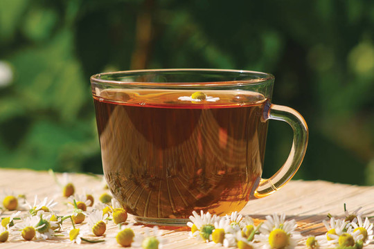 草藥茶和菊花靜物杯