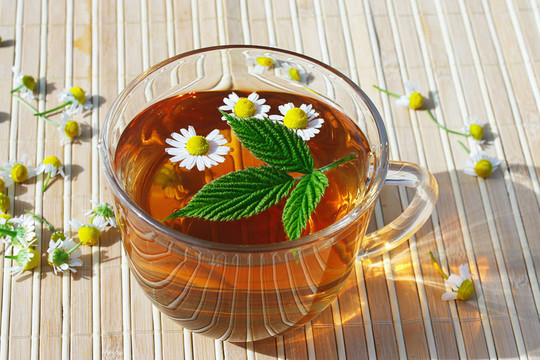 一杯洋甘菊和綠葉靜物花草茶