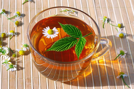 一杯洋甘菊和綠葉靜物花草茶