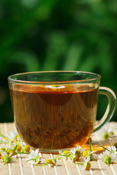 草藥茶和菊花靜物杯