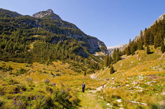 KRN山