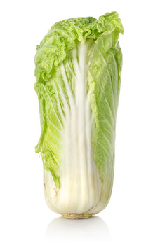 大白菜