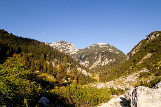 KRN山