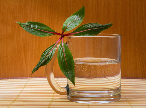 玻璃水