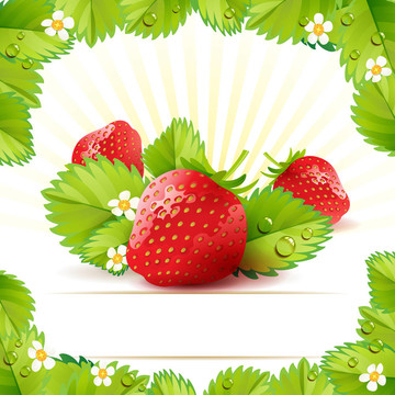 草莓