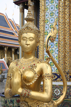 Wat Phra Kaeo金生物