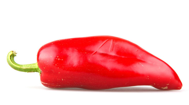 白底紅辣椒