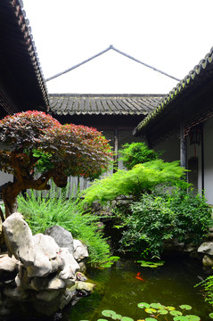 拙政園