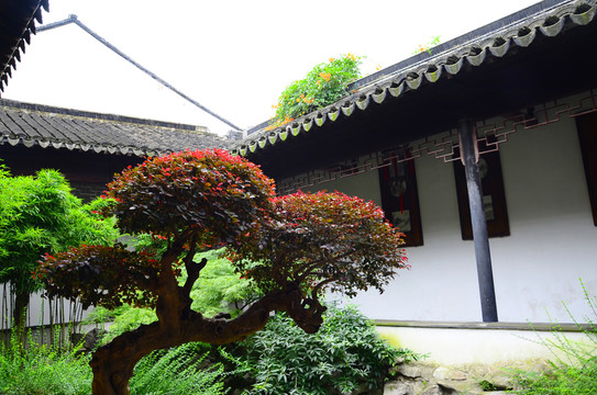 蘇州園林
