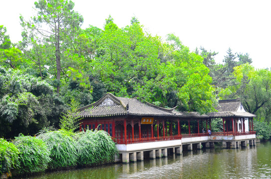 蘇州大學(xué)