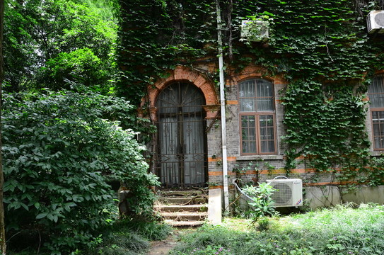 校園風(fēng)光