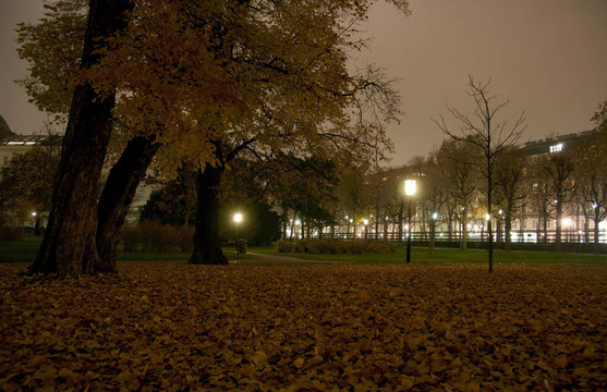 夜間維也納公園
