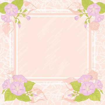背景flowers Ipomoea