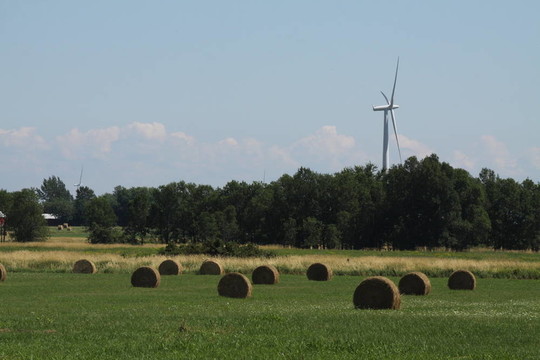 Hay Bales在Field
