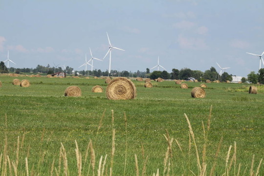 Hay Bales在Field