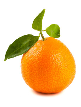 Tangerine夜店有綠色的葉子