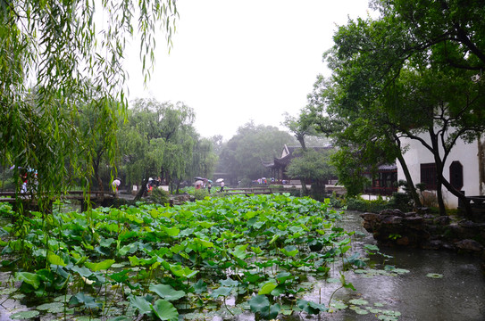拙政園