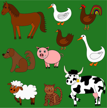 可愛的農(nóng)場動物