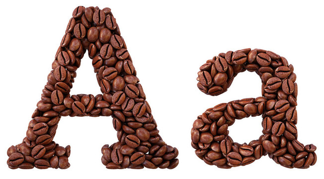 字母表